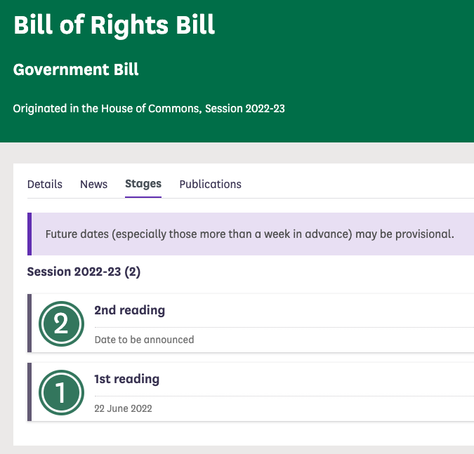 what-is-going-to-now-happen-with-the-bill-of-rights-the-law-and